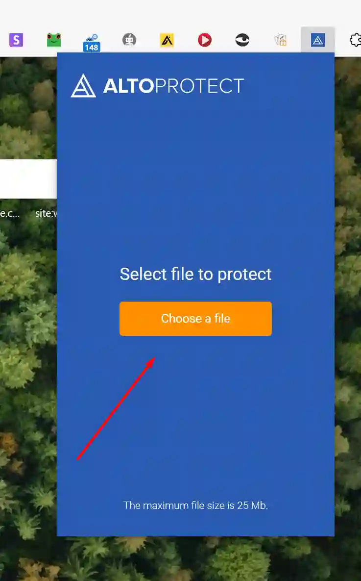 Choose A File In Alto Protect